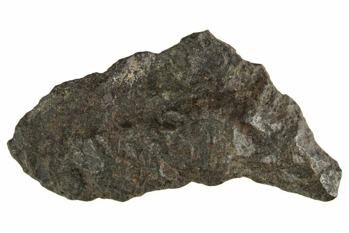 Carbonaceous Chondrite Meteorite ( g) - NWA #313695